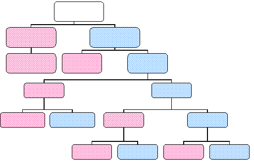 Organigramme hirarchique